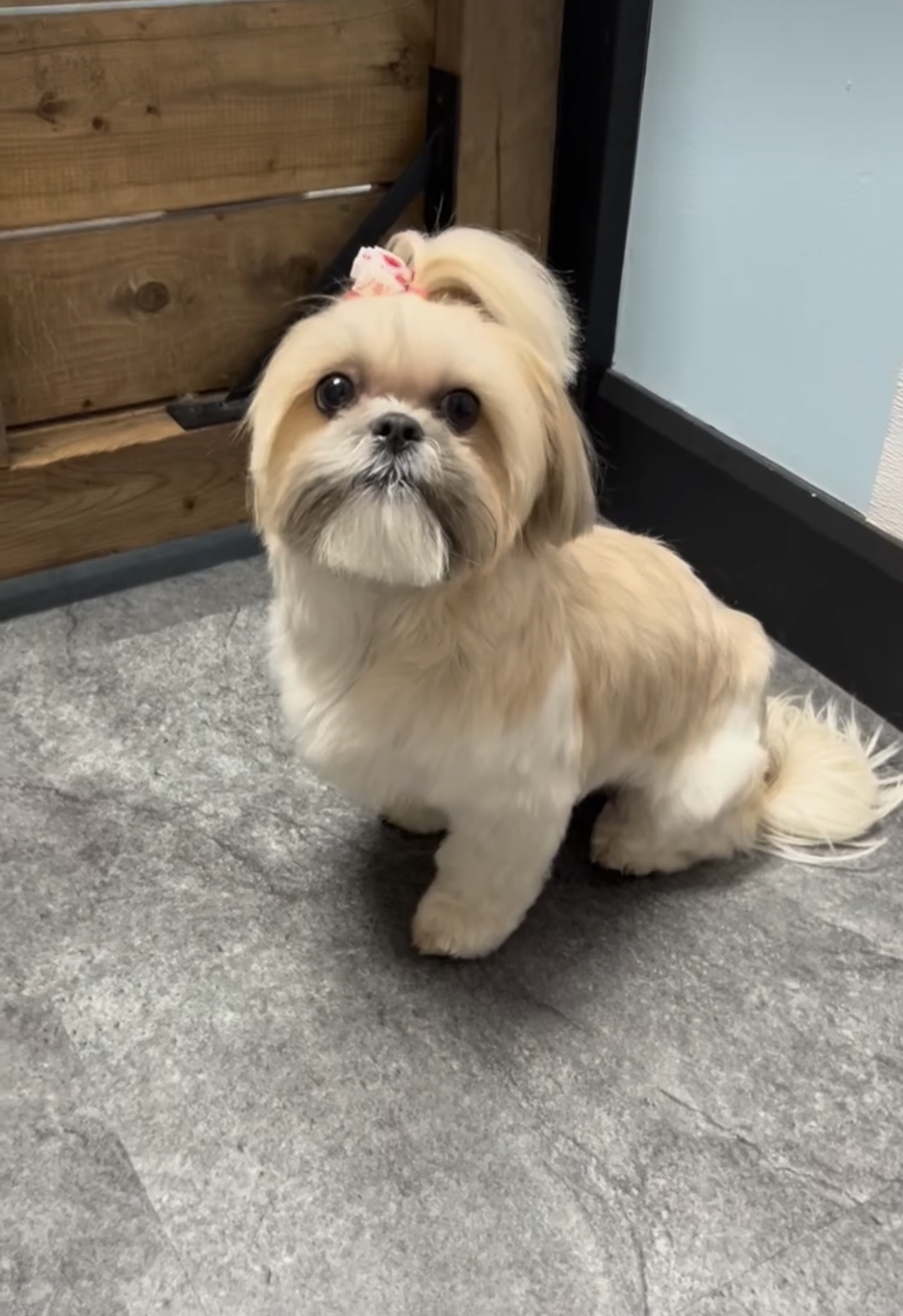 The Full Groom
